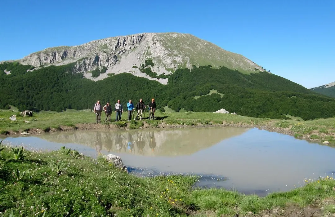 B&B Sole del Pollino-1